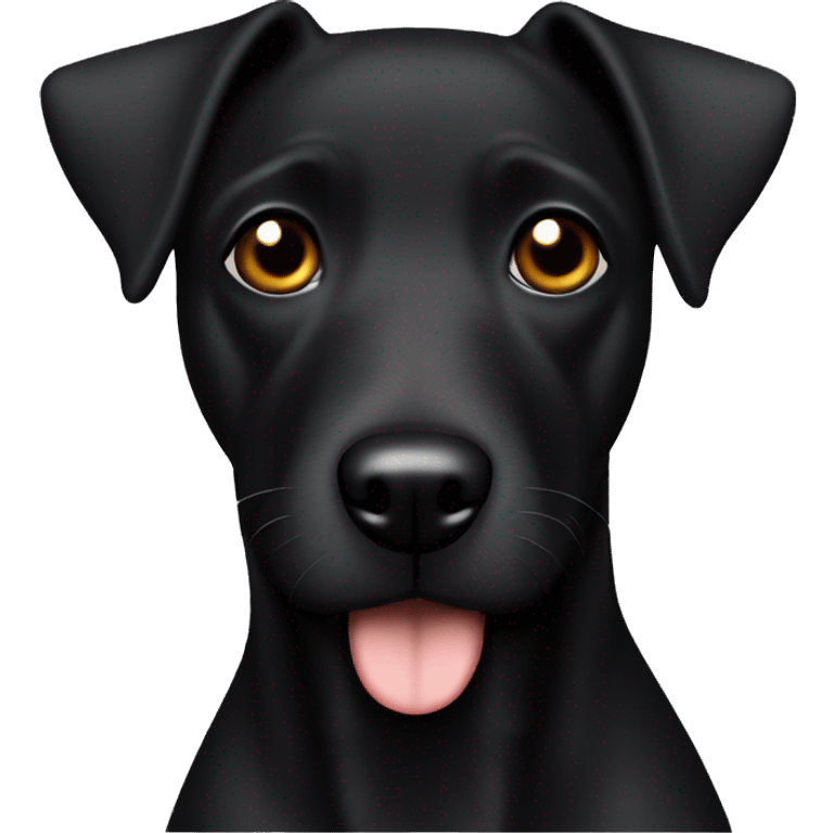 1 dog Black Patterdale Terrier brown eyes  emoji