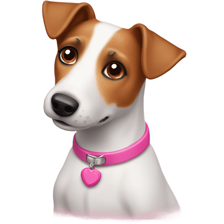 Old Jack Russell dog with pink collar  emoji