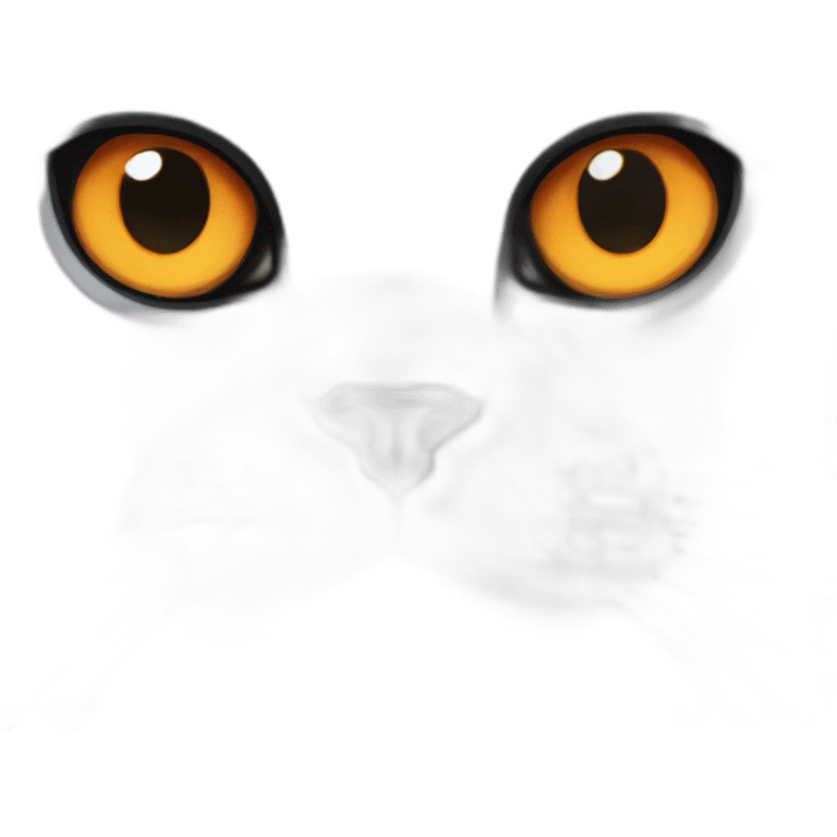 black British shorthair with orange eyes emoji