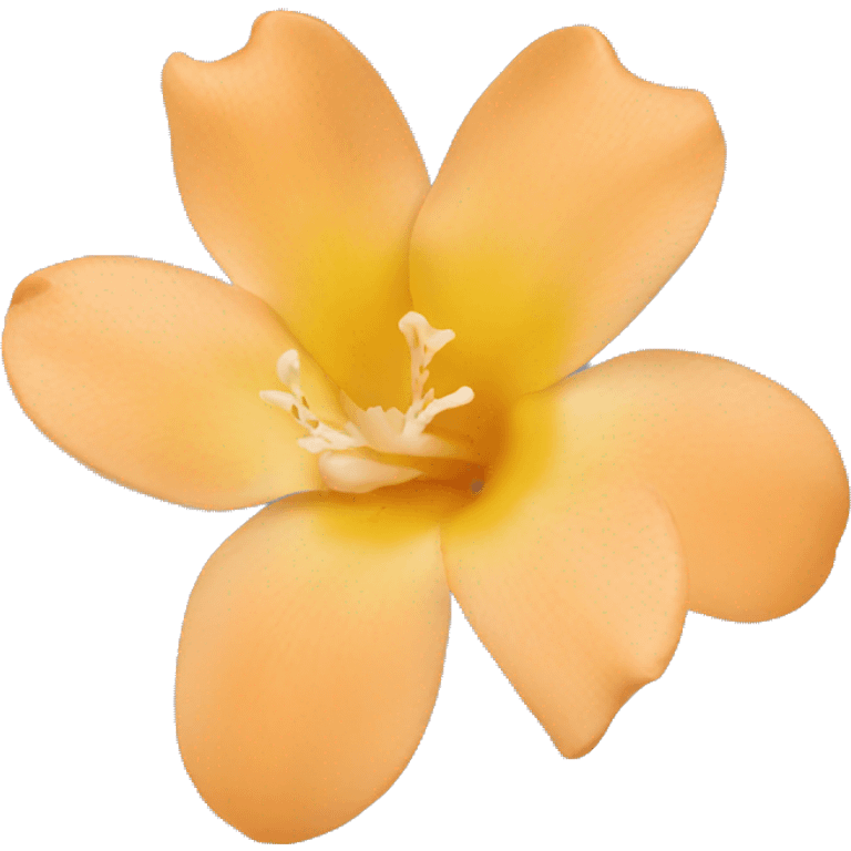 Apricot freesia emoji