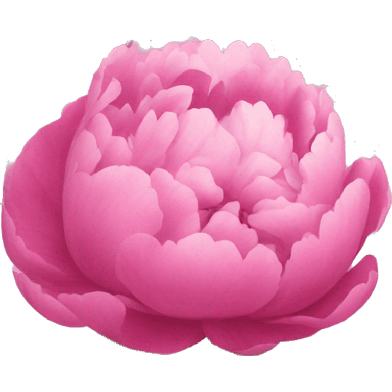 Pink Peonies emoji