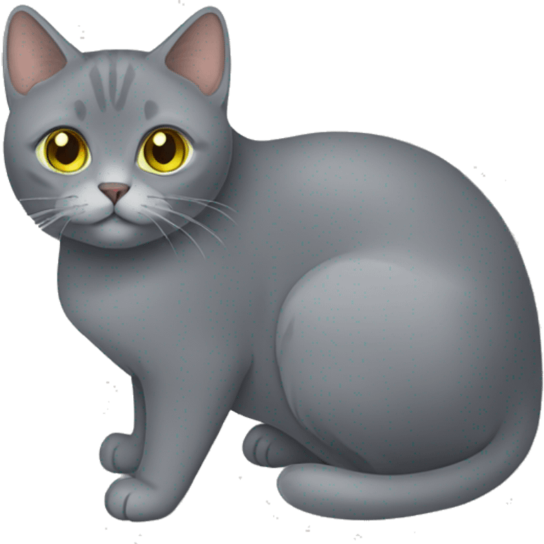 A chartreux cat  emoji