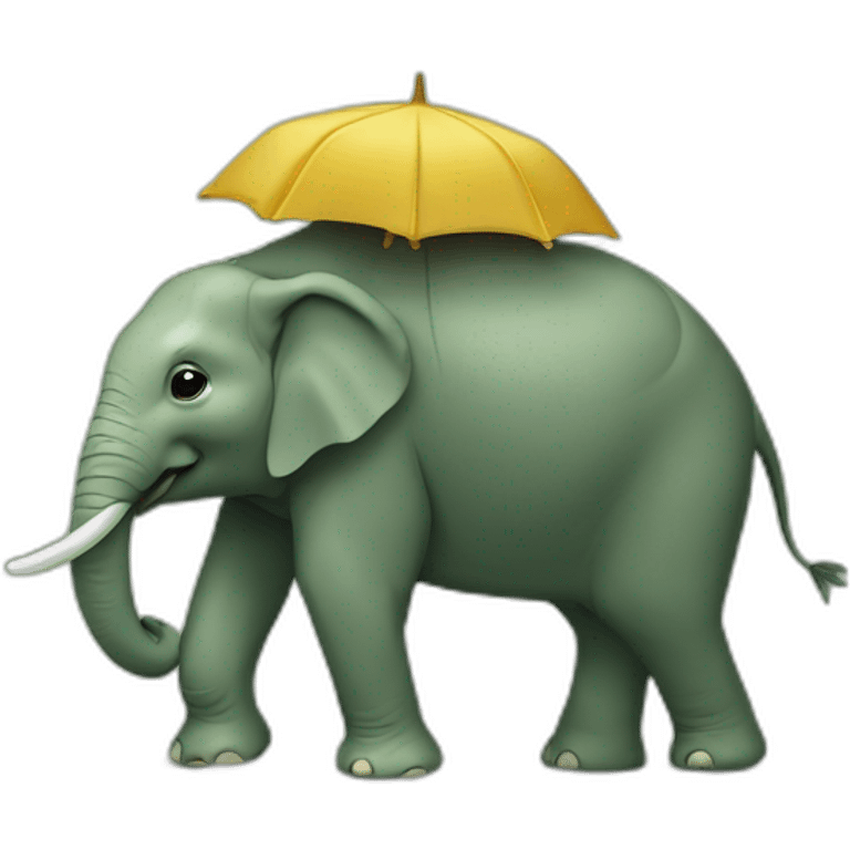 tortue sur un elephant emoji