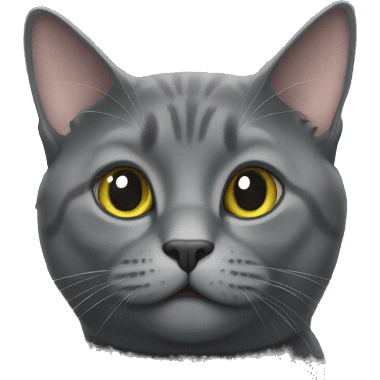 Chartreux cat emoji