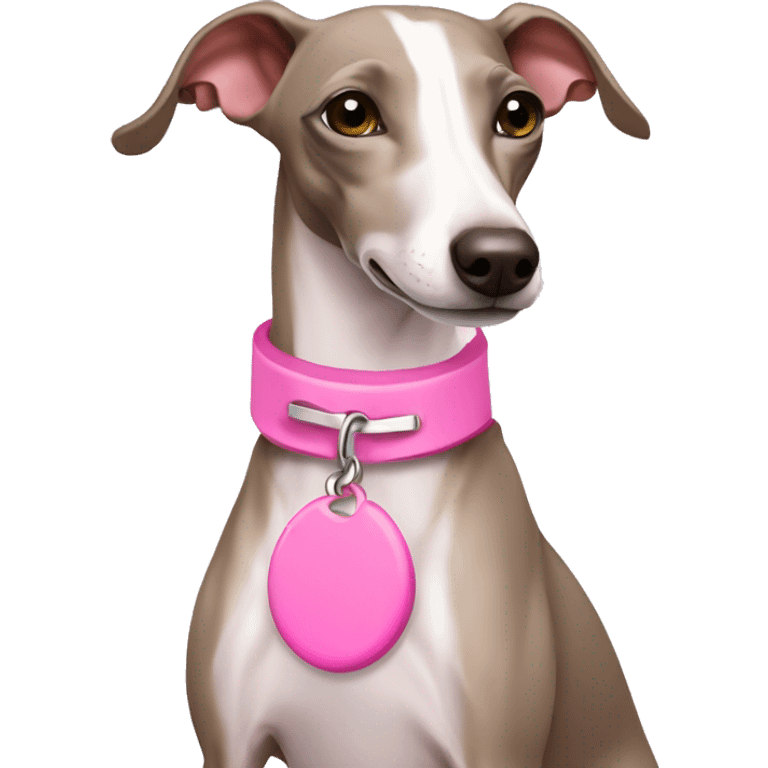 White Italian greyhound wearing pink collar emoji