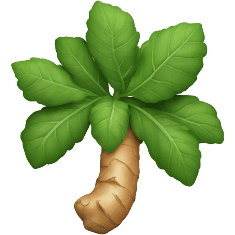 one ginger root emoji