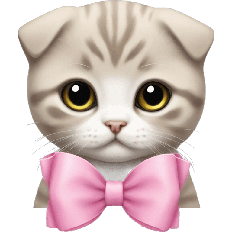 Scottish fold kitten with pink bow emoji