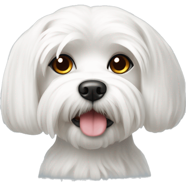 White Maltese dog emoji