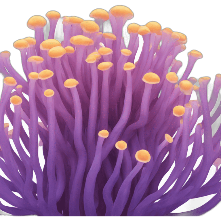 Sea anemone emoji