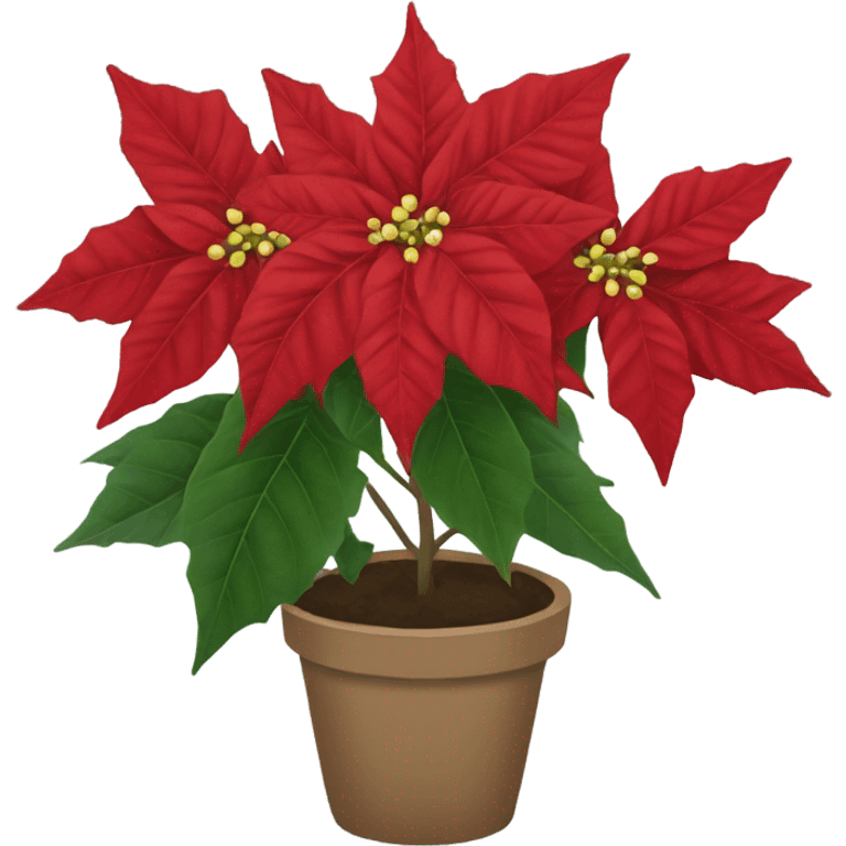 Poinsettia  emoji