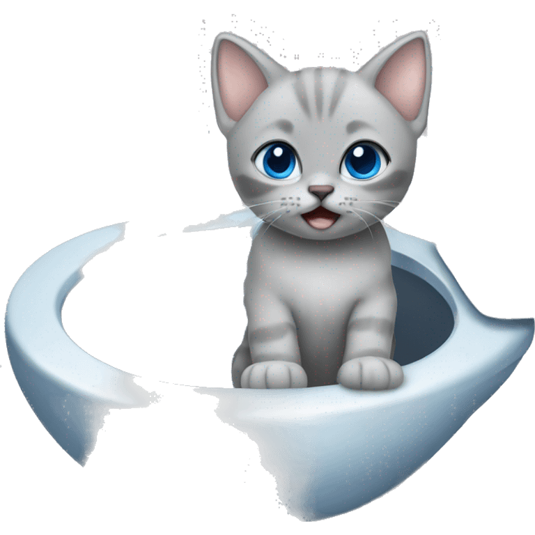 blue eyes grey kitten and toilet  emoji