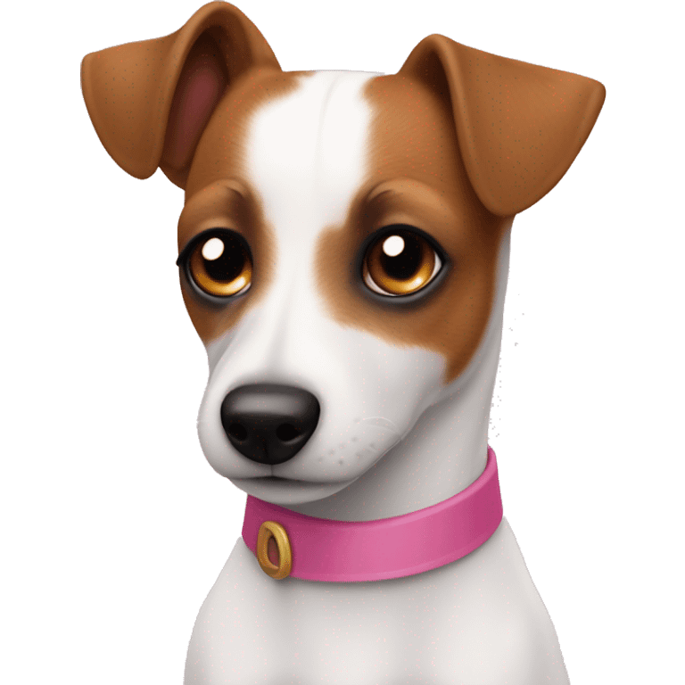 Jack Russel with one brown eye patch and pink collar  emoji