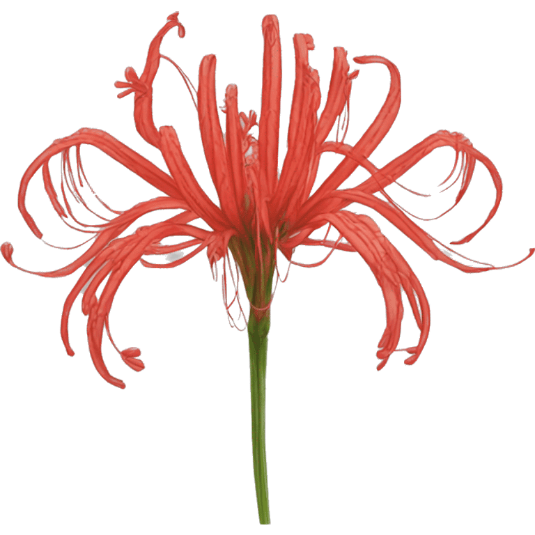 Lycoris radiata emoji