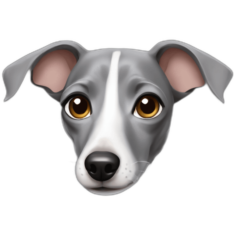 full grey Italian greyhound emoji emoji