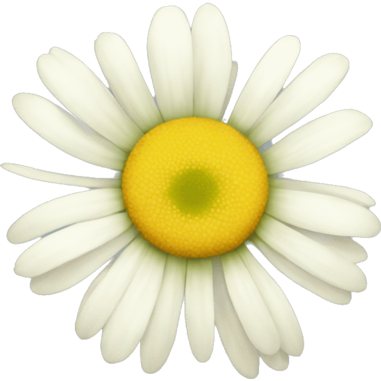 CHAMOMILE emoji