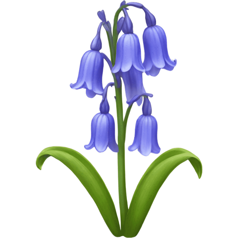 Bluebell flower emoji emoji