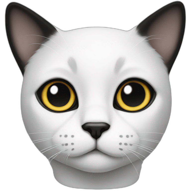 white and black forehead cat emoji