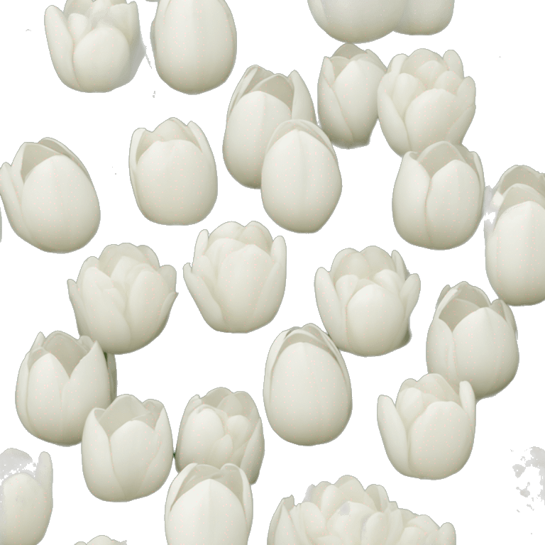 White hydrangea white tulip bouquet emoji