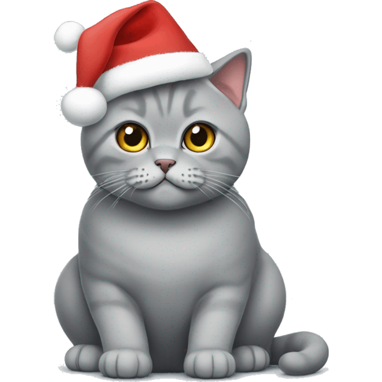 Grey British shorthair cat with a Christmas hat  emoji