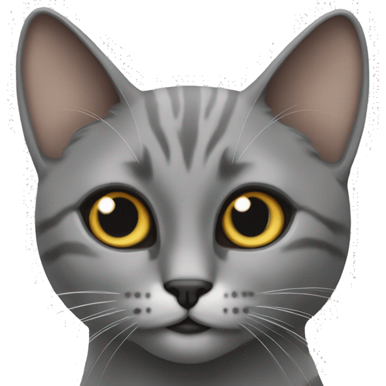 Chat gris avec un chat siamois emoji