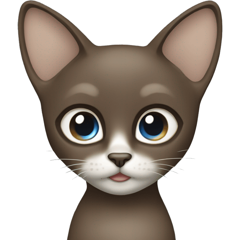 Dark Brown face - beige body and ears female thai cat with blue eyes  emoji