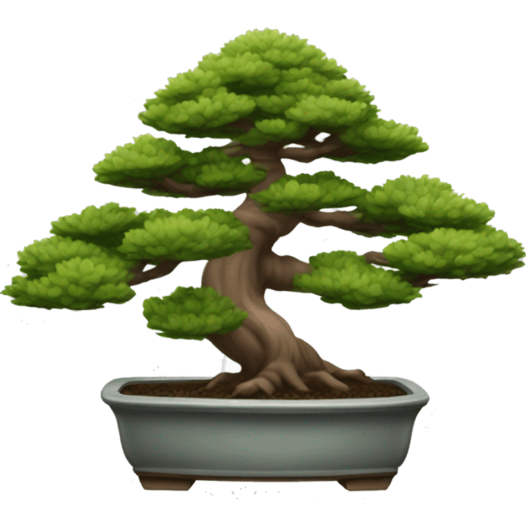 pine tree bonsai emoji