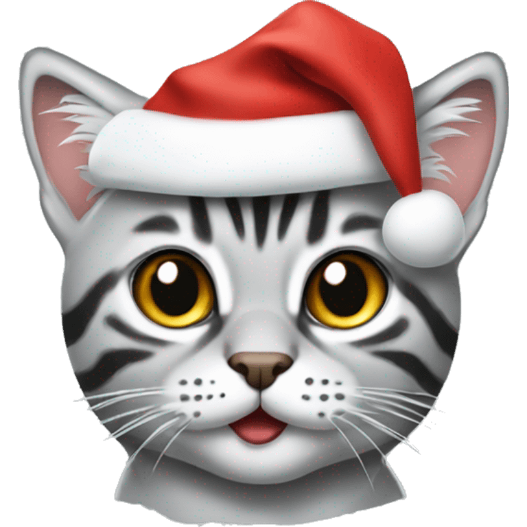 Silver tabby in Santa hat emoji