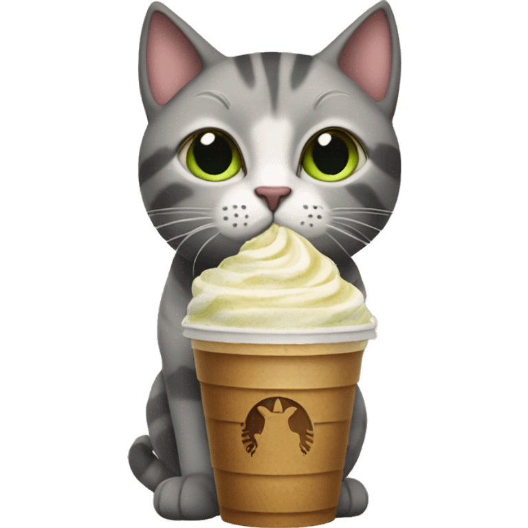 Cat drinking Starbucks frappe  emoji