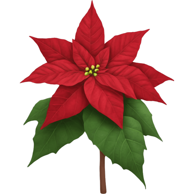 Realistic poinsettia emoji