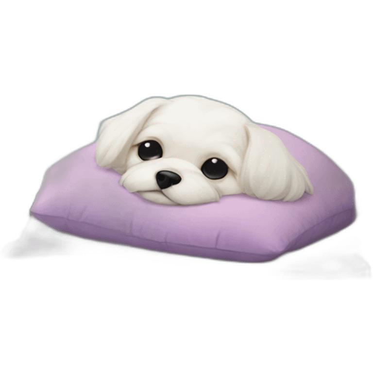 Maltese dog nap on pillow emoji