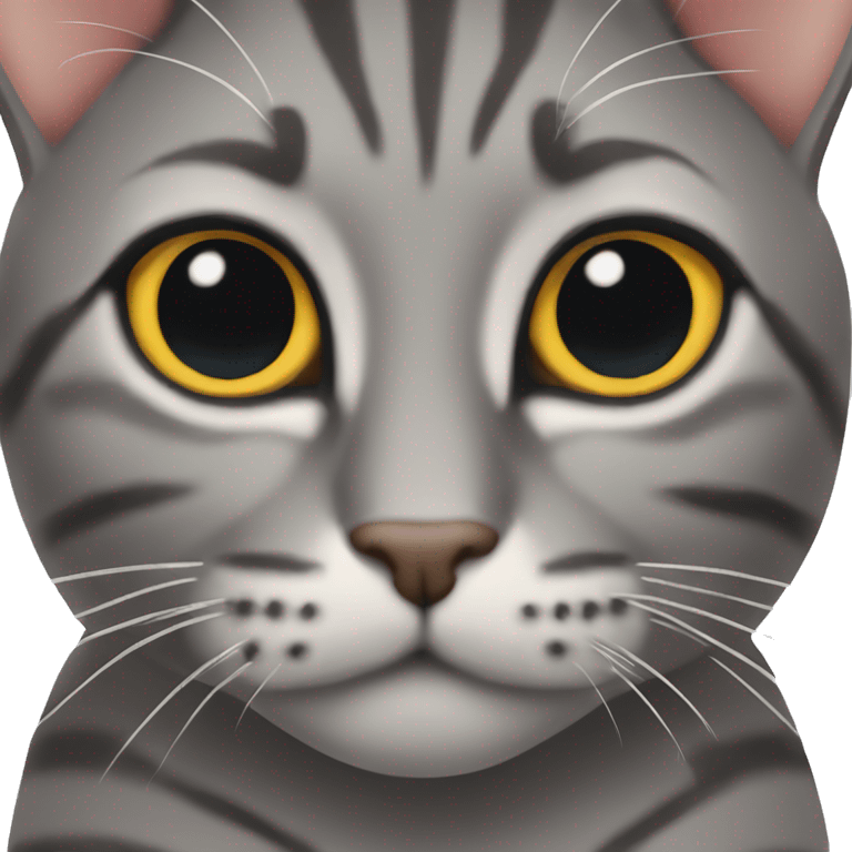 Dark gray tabby cat with brown eyes emoji