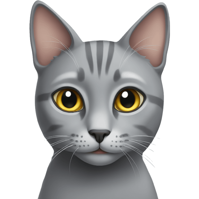 Grey cat  emoji