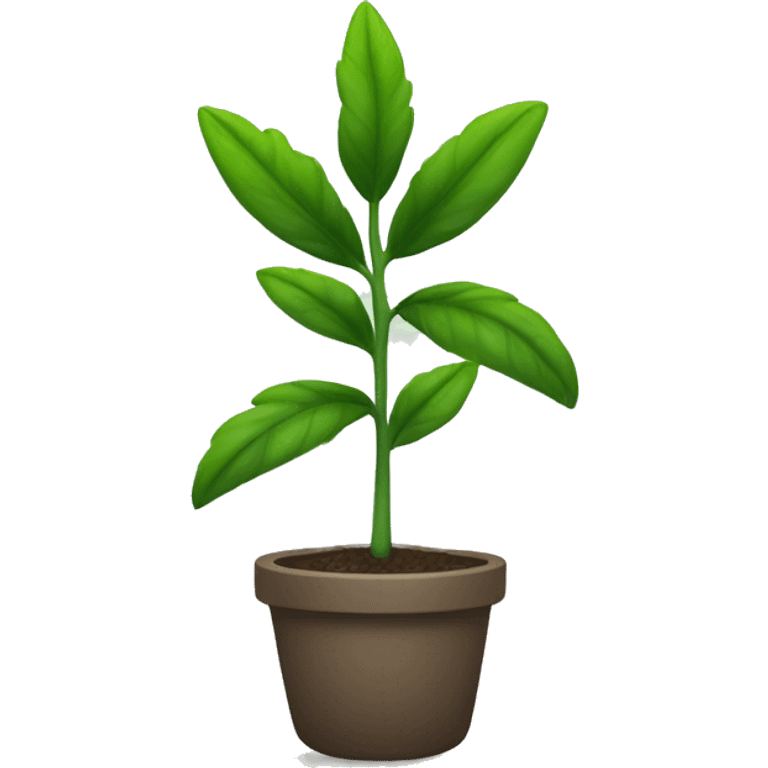  a plant with a thin, slightly hairy green stem. The leaves are oval, pointed, slightly serrated, and dark green in color. They are arranged in opposite pairs along the stem. emoji