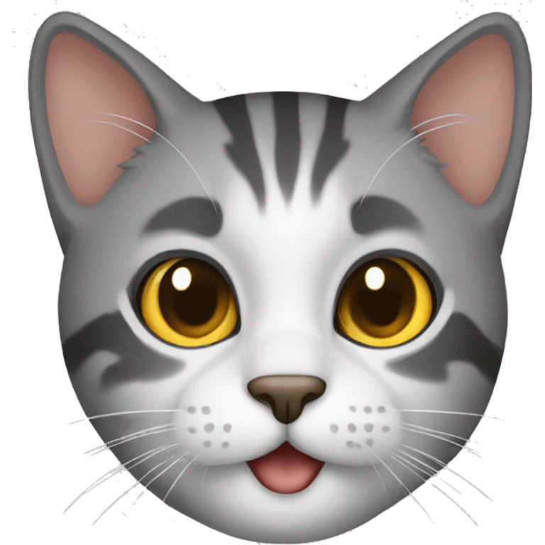 cat developper emoji