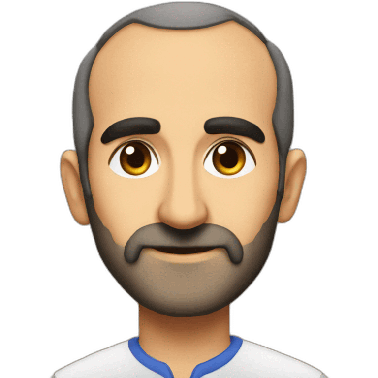 Nikol Pashinyan emoji