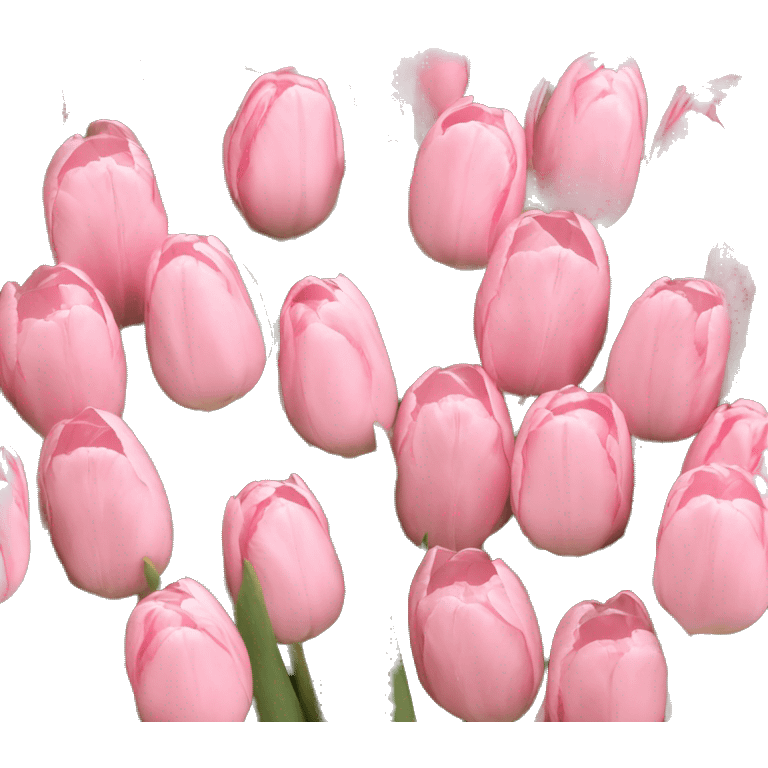 light pink tulips emoji