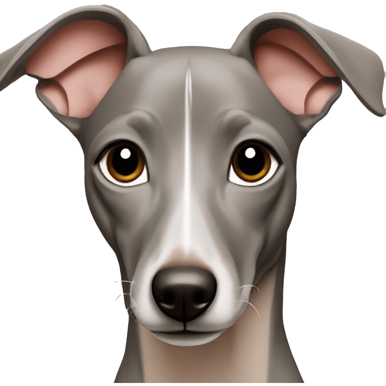 solid blue fawn italian greyhound emoji