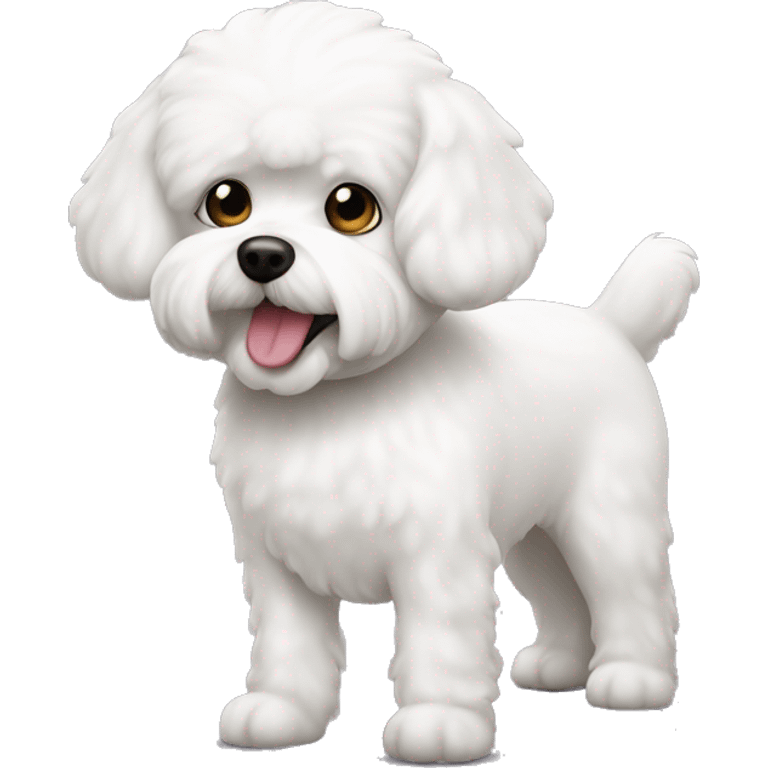 white dog bichon maltés  emoji