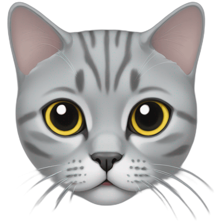 british-shorthair emoji