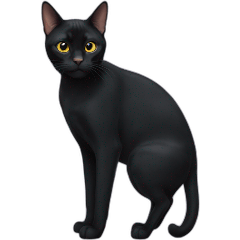 bombay cat emoji