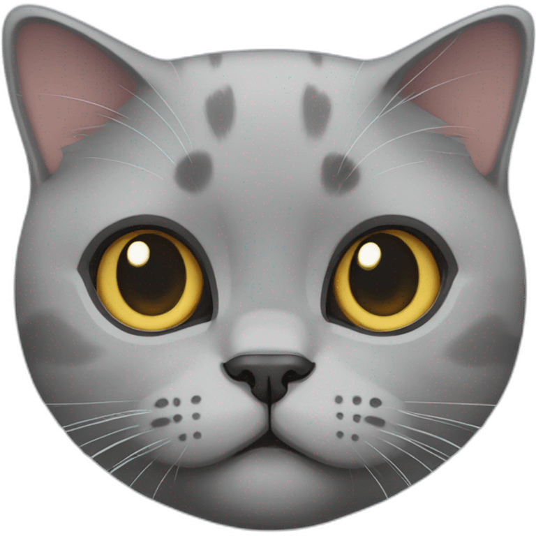 british shorthair cat emoji