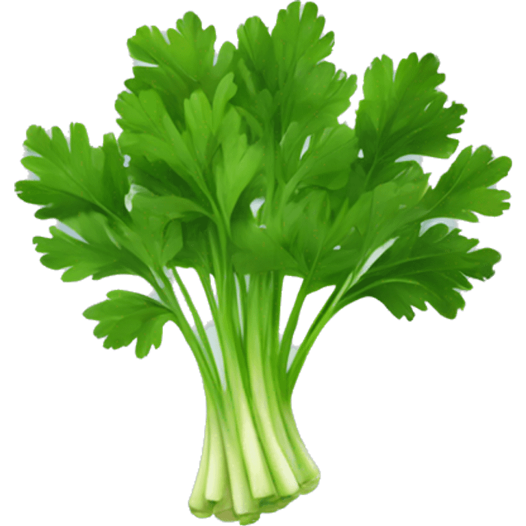 parsley emoji