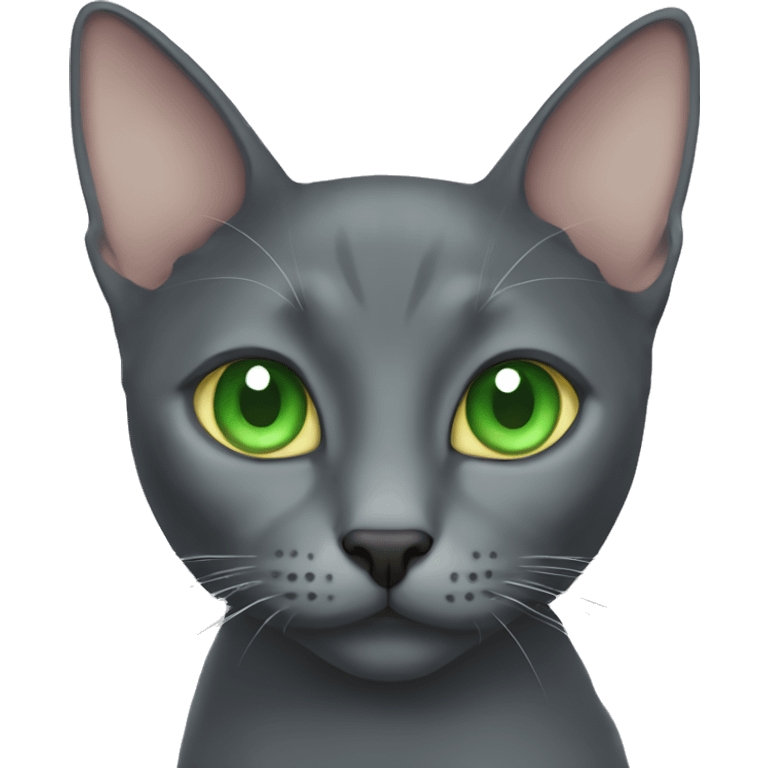 Korat cat with green eyes face emoji