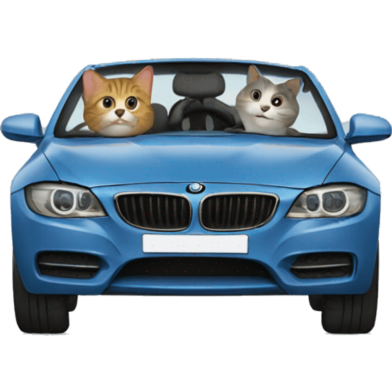 Cat driving  in a BMW-branded vehicle emoji