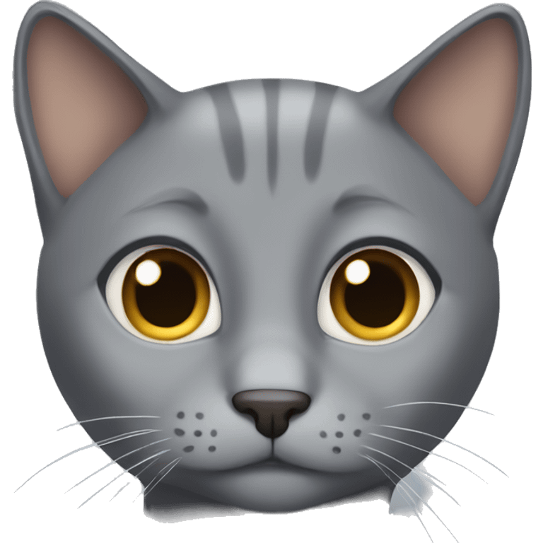 Grey cat with no ears and brown eyes  emoji