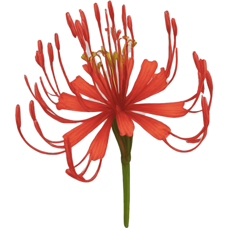 lycoris emoji