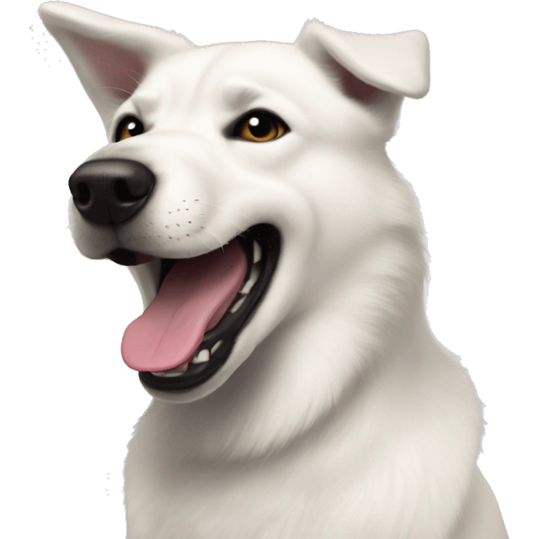 white husky-lab mix dog with completely black fur around his eyes and black ears smiling with tongue out emoji