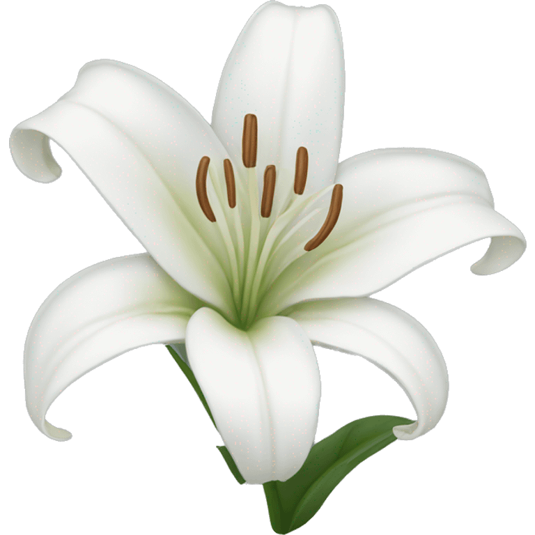 White lily emoji