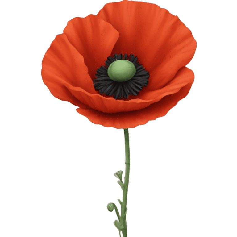 poppy emoji