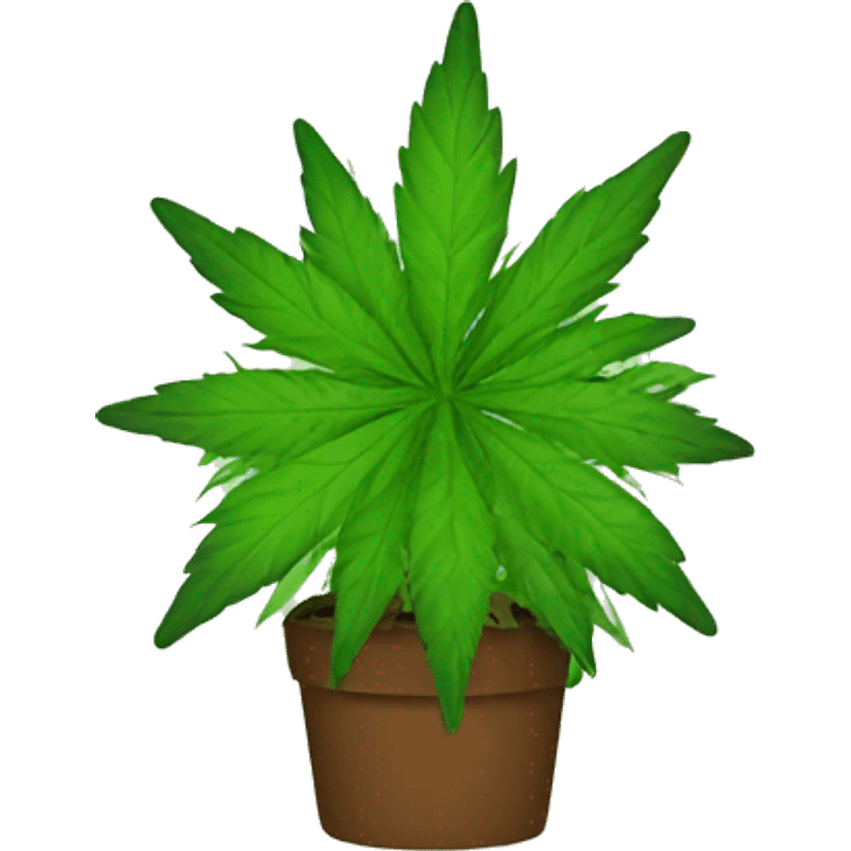 weed emoji